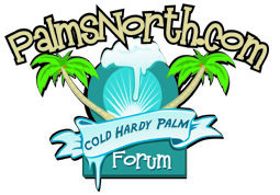 PalmsNorth.com Cold Hardy Palm Forum